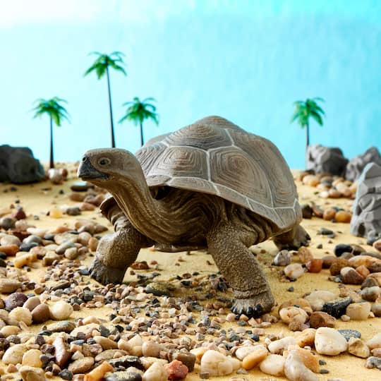 Safari Ltd® Galapagos Tortoise